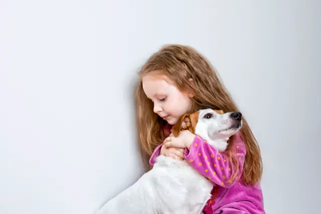 Why Your 4-Year-Old Is Mean To Dog?