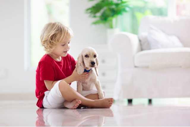 Is your 4-Year-Old Too Rough With Puppy? (Here’s What To Do?)