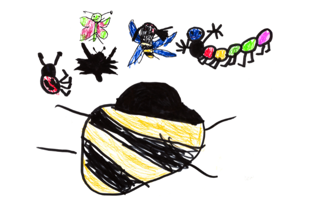 4-year-old drawing insects