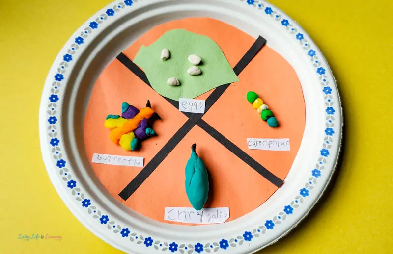 paper plate crafts for 4-year-olds 5