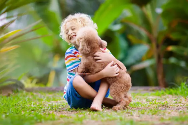 Consider This Before Getting A Puppy With A 4-Year-Old!