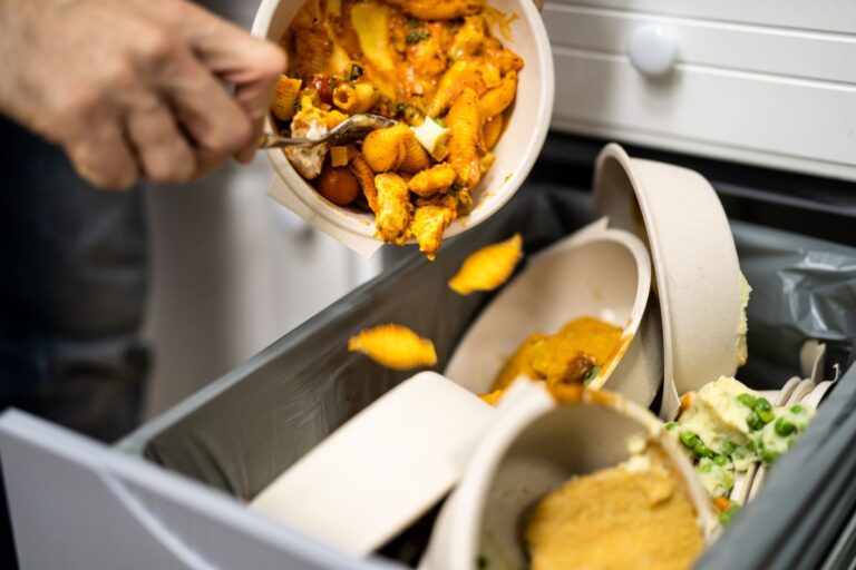 Food Waste in America: Unveiling the Hidden Truths