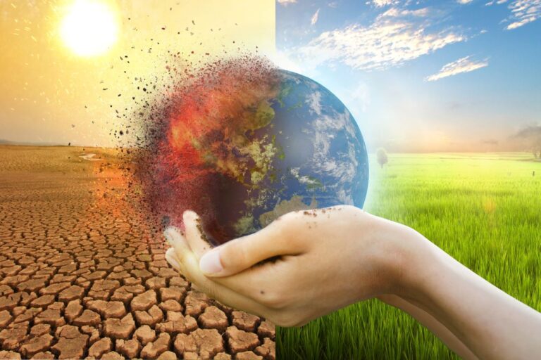 Green Fight: Eco Warriors vs. Climate Deniers