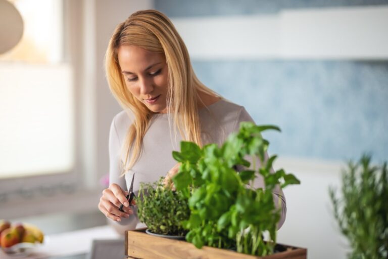 Grow Fresh Herbs Indoors: A Simple, Hands-On Guide