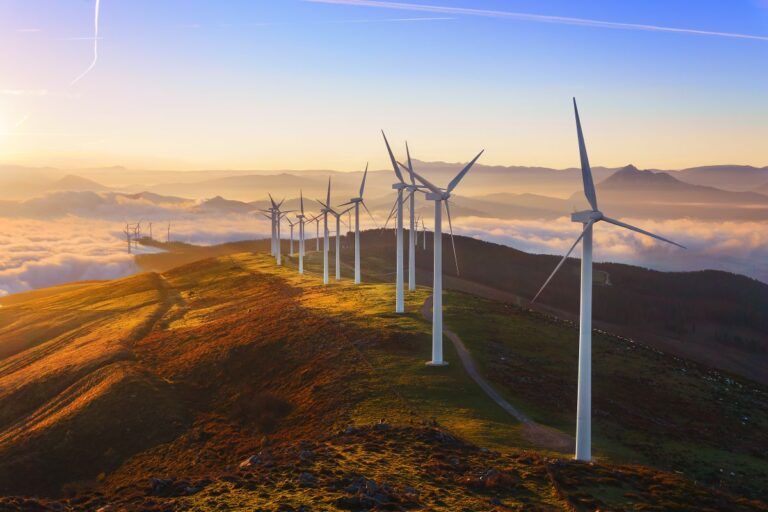 Eco-Friendly or Eco-Foe? Wind Turbines’ Deadly Secret
