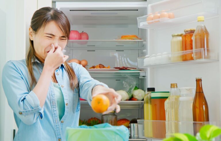 How to Minimize Food Waste at Home: Practical Tips for Families