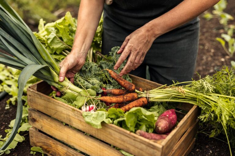 How Climate Change Could Ruin Your Dinner