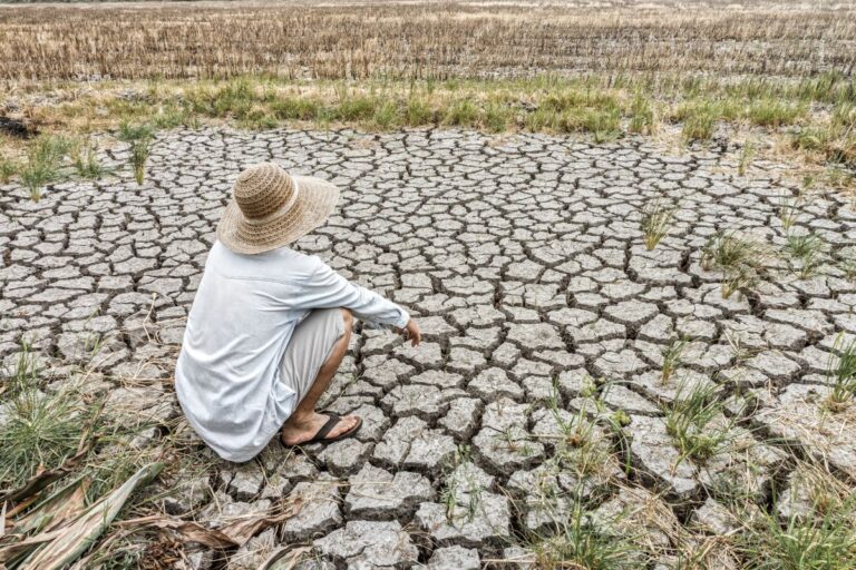 The Water Crisis in California: Is Newsom the Answer?